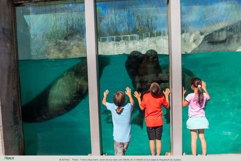 Quebec: Aquarium du Quebec Entry Ticket - Key Points