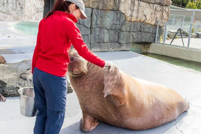 Quebec: Aquarium du Quebec Entry Ticket - Who Should Visit?