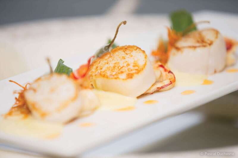 Québec City: 3 or 5-Course Dinner Cruise with DJ & Dancing - Final Thoughts