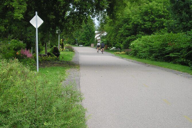 Quebec City Bike Rentals - Insights from Reviews: What Riders Appreciate