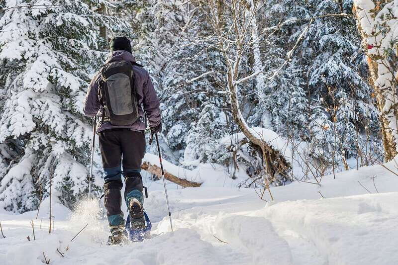 Quebec City: Jacques-Cartier National Park Snowshoeing Tour - An In-Depth Look at the Jacques-Cartier Snowshoeing Tour