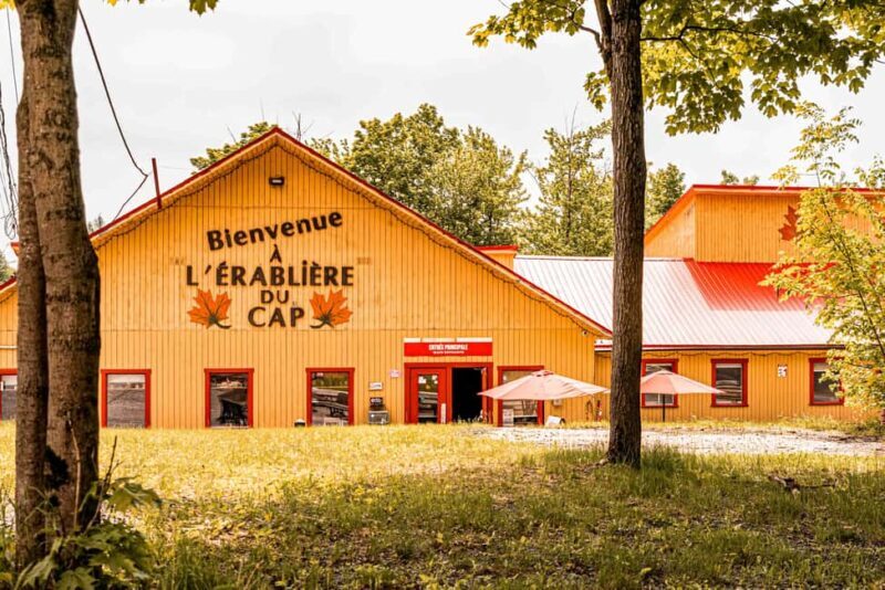 Quebec City (Lévis): self-guided sugar shack tour + meal + maple taffy - Key Points