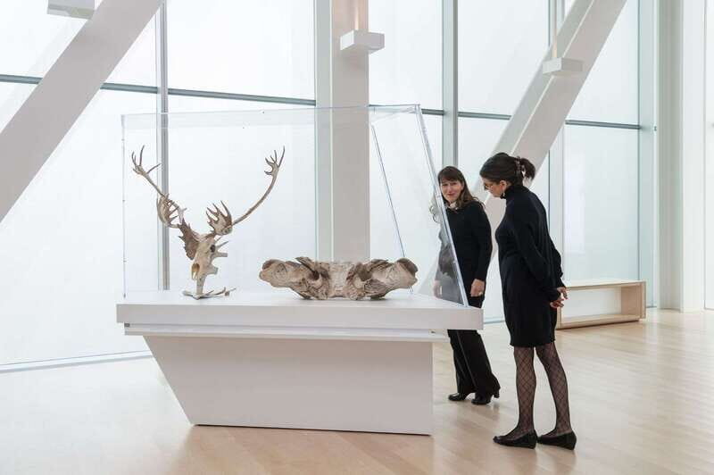 Quebec City: MNBAQ National Fine Arts Museum Entry Ticket - What To Expect During Your Visit