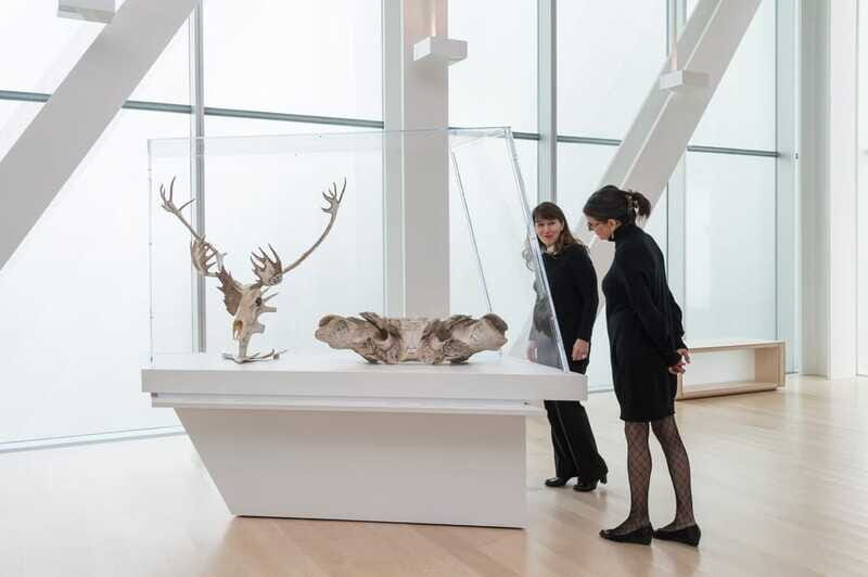 Quebec City: MNBAQ National Fine Arts Museum Entry Ticket - Authentic Experiences and Actual Visitor Feedback