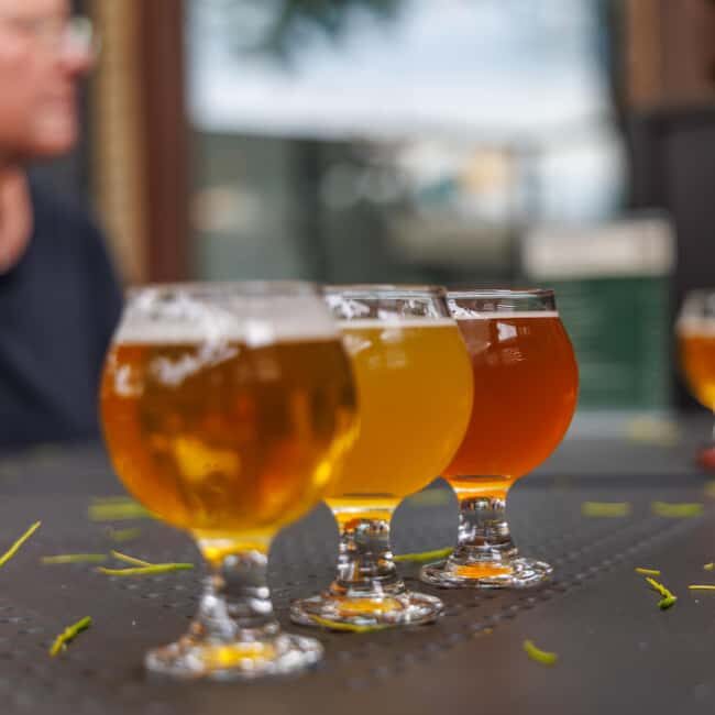 Quebec City: Montmorency Falls and Microbrewery eBike Tour - What the Tour Includes and Why It Matters