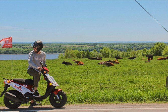 Quebec City - Scooter Rental on Ile d'Orléans - Final Thoughts