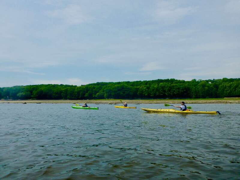 Quebec City: Sea-Kayaking Tour in Orleans Island - Who Should Consider This Tour?