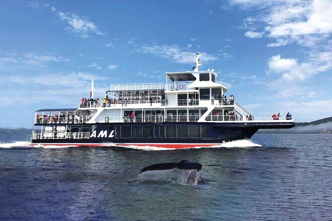 Québec City: Whale Watching Tour with Bus Transportation - Final Thoughts