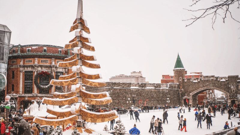 Quebec: German Christmas Market Tasting Tour - Who Will Love This Tour?