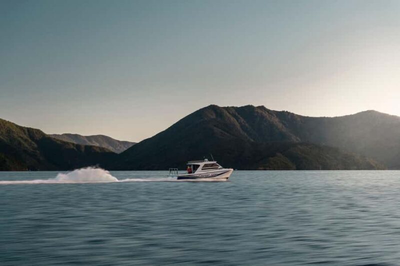 Queen Charlotte Sound Cruise with Lunch - A Detailed Look at the Queen Charlotte Sound Cruise with Lunch