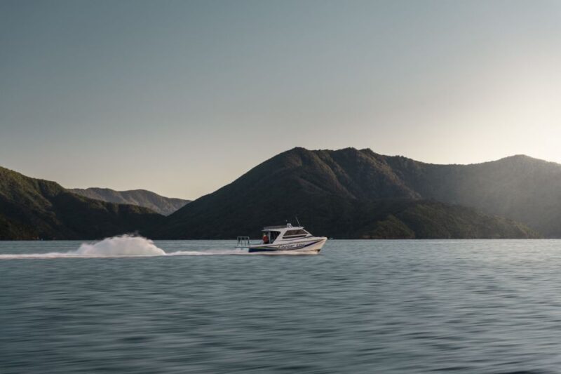 Queen Charlotte Sound Cruise with Lunch - The Value Proposition — Is It Worth It?