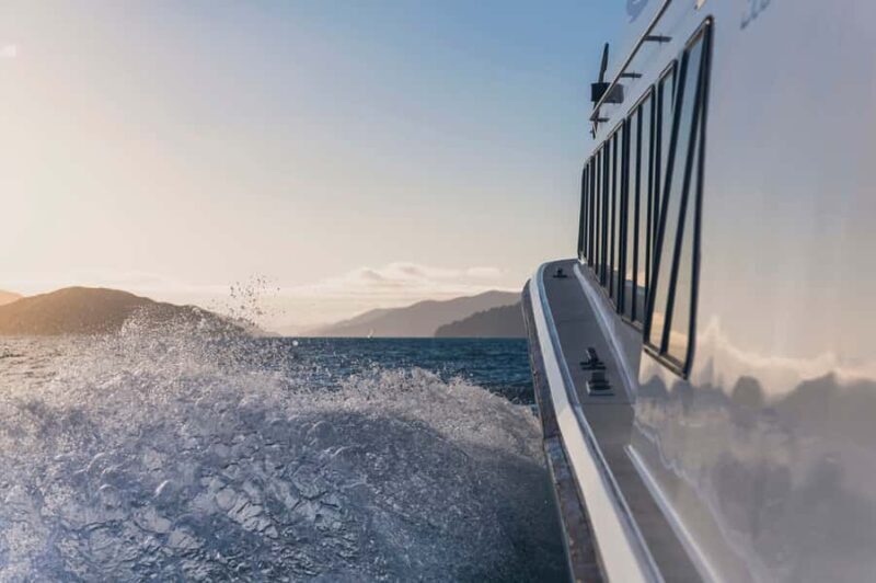 Queen Charlotte Sound Cruise with Lunch - Final Thoughts