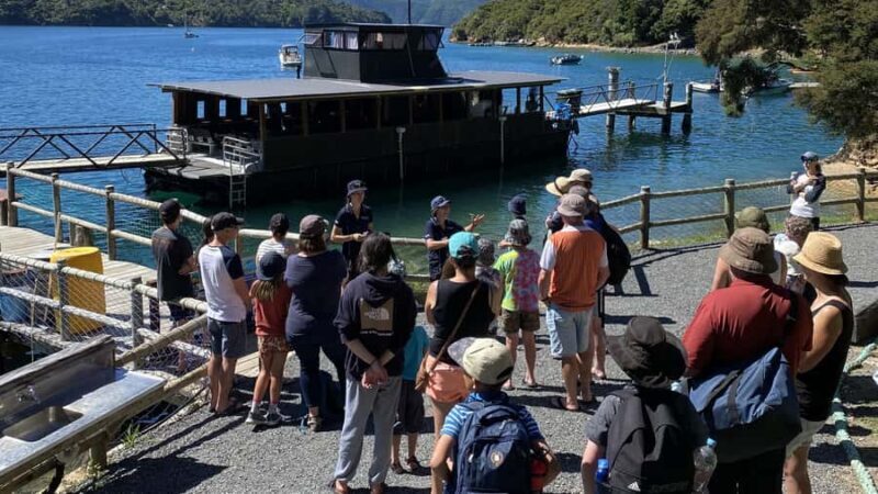Queen Charlotte Sound: Lochmara Cruise and Explore 9-4 - An In-Depth Look at the Lochmara Experience