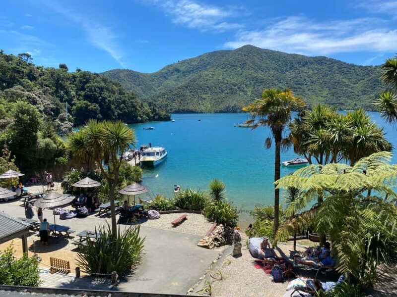 Queen Charlotte Sound: Lochmara Cruise and Explore 9-4 - FAQs