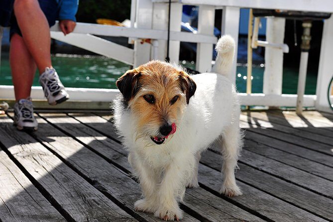 Queen Charlotte Sound Mail Boat Cruise - Final Thoughts