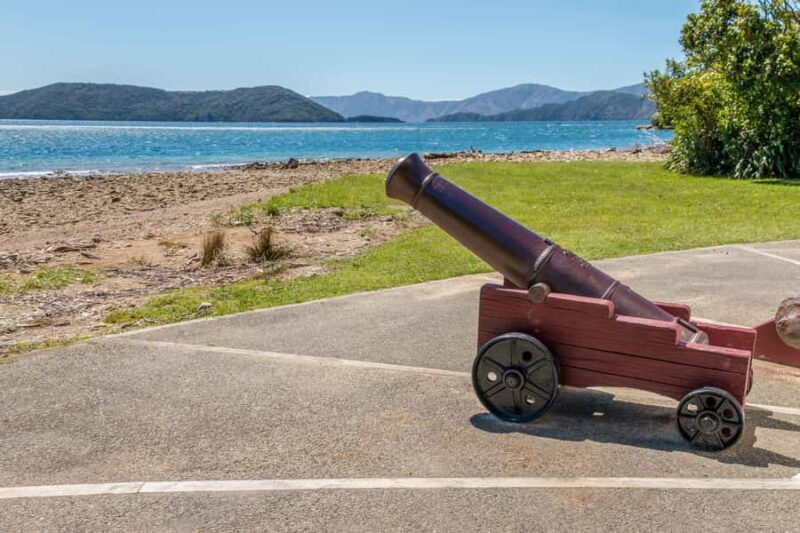 Queen Charlotte Track: Cruise & Self-Guided Hike from Picton - A Complete Breakdown of the Experience