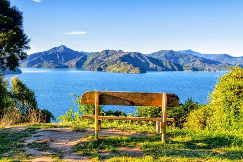 Queen Charlotte Track: Cruise & Self-Guided Hike from Picton - Authentic Traveler Feedback