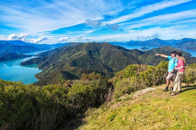 Queen Charlotte Track Self Guided Hike to Eatwells Lookout - What Travelers Say