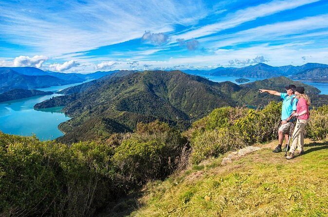 Queen Charlotte Track Self Guided Hike to Eatwells Lookout - Who This Tour Is Best For