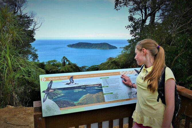 Queen Charlotte Track - Ultimate one Day Walk and Cruise - A Deep Dive into the Experience