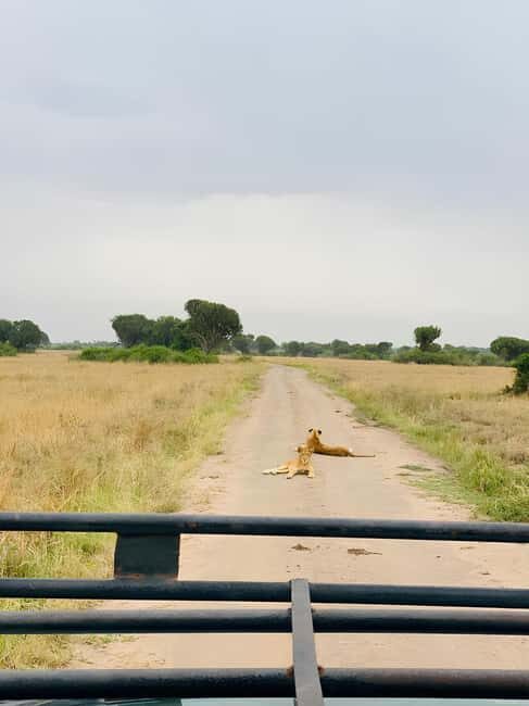 Queen Elizabeth National Park 3-Day Trip from Kampala - An In-Depth Look at the 3-Day Queen Elizabeth National Park Tour