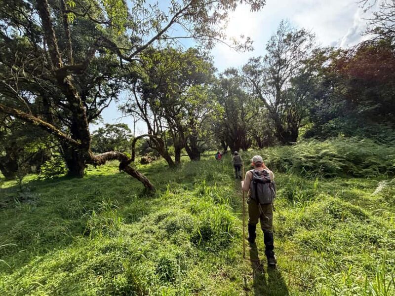 Queen Elizabeth National Park Day Safari - Who Should Consider This Tour?