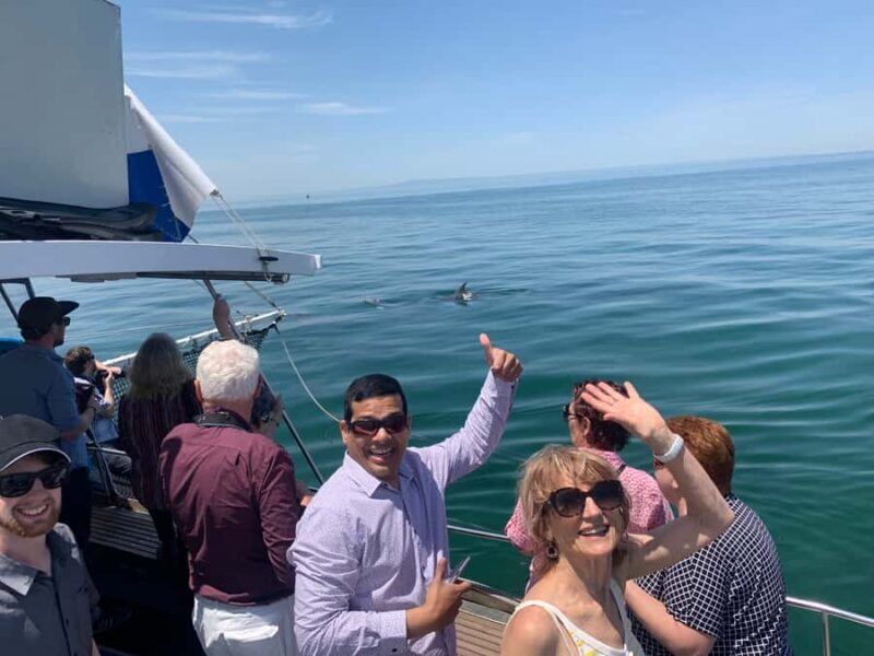 Queenscliff: 1.5hr Harbour Wildlife Sightseeing Cruise Tour - An Honest Look at the Experience