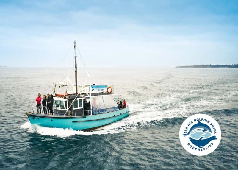 Queenscliff Harbour: 3.5hr Seal & Dolphin Snorkelling Tour - Why It’s a Great Choice