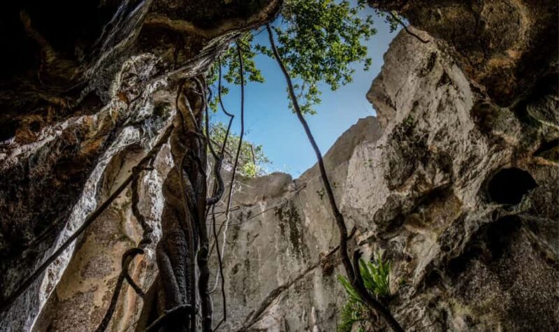 Queensland: 90 Minute Capricorn Caves Explorer Tour - A Closer Look at the Capricorn Caves Explorer Tour