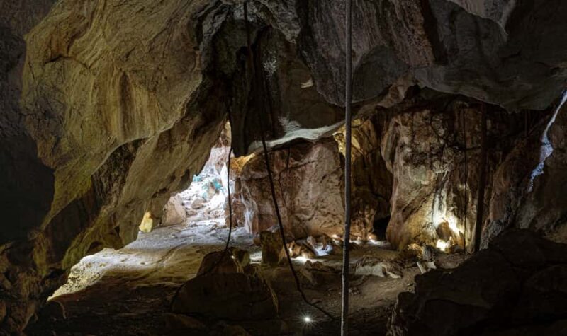 Queensland: 90 Minute Capricorn Caves Explorer Tour - Frequently Asked Questions