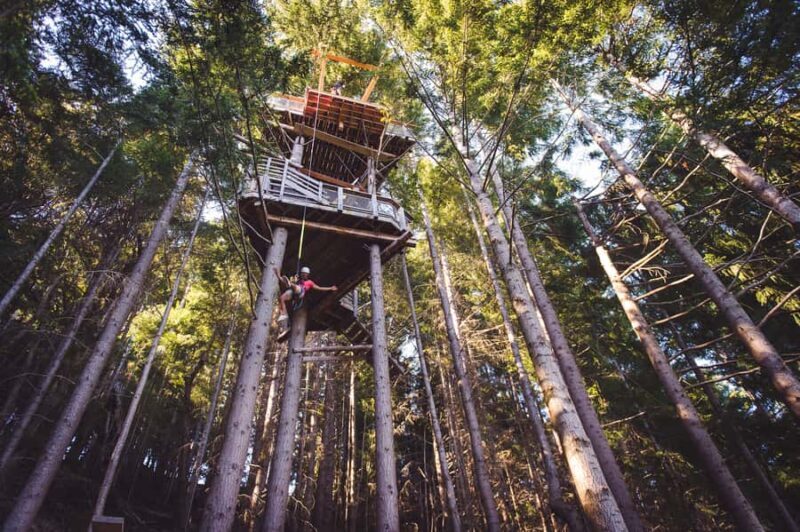 Queenstown: 1-Hour Zipline Tour with 2-Lines & 21-Meter Drop - The Sum Up