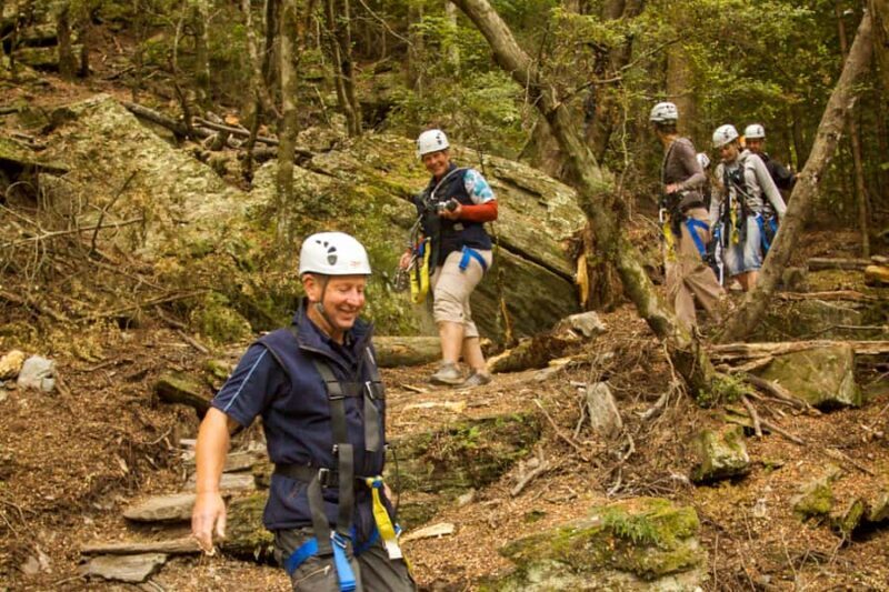 Queenstown: 3-Hour Zipline Adventure with 6-Lines - What to Expect from This Queenstown Zipline Tour