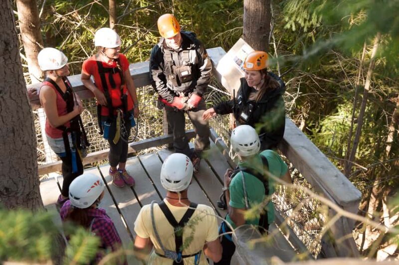 Queenstown: 3-Hour Zipline Adventure with 6-Lines - Guides & Safety