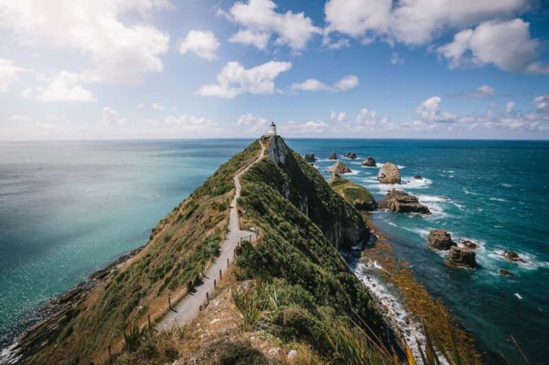 Queenstown: 5 Day 4 Night Southern Highlights Tour - Day 3: Wildlife Experience on Stewart Island & Ulva Island