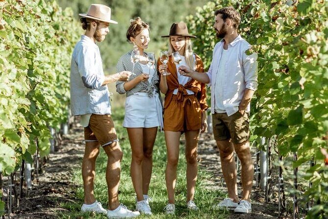 Queenstown Afternoon Wine Tour - Peregrine | Kinross | Amisfield - Key Points