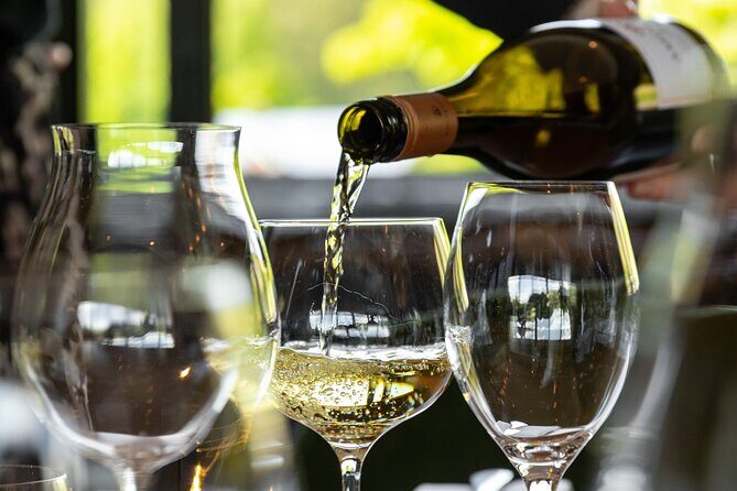 Queenstown Afternoon Wine Tour - Peregrine | Kinross | Amisfield - FAQ