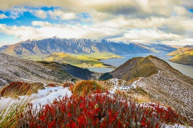 Queenstown Airport to/from Wanaka Hassle Free Private Transfer - A Closer Look at the Transfer Experience