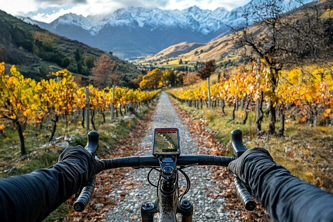 Queenstown Biking Wine Tour - Self-Guided Audio Tour - Practical Tips & Considerations