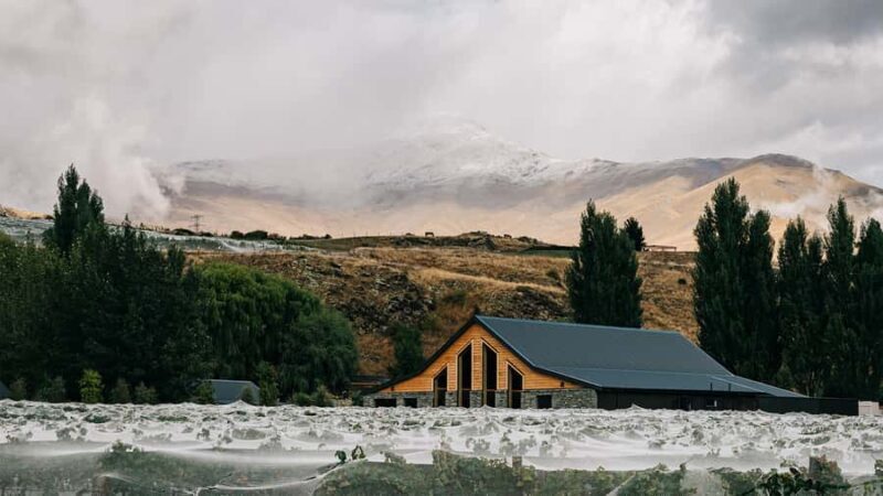 Queenstown: Classic Central Otago Wine Tasting Experience - A Closer Look at the Wine Tasting Experience