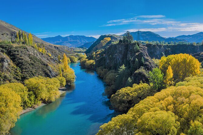 Queenstown Classic Wine Tour: 3 Winery Visits, Cave Tour & Cheese - Authentic Experiences and Highlights