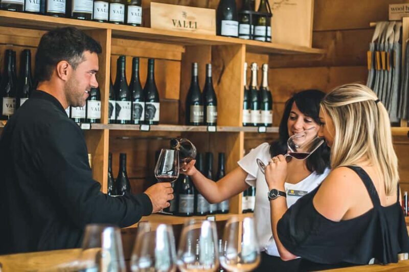 Queenstown: Classic Wine Tour - Key Points