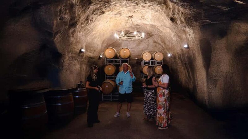 Queenstown: Classic Wine Tour - Introduction: A Taste of Queenstown’s Vineyards