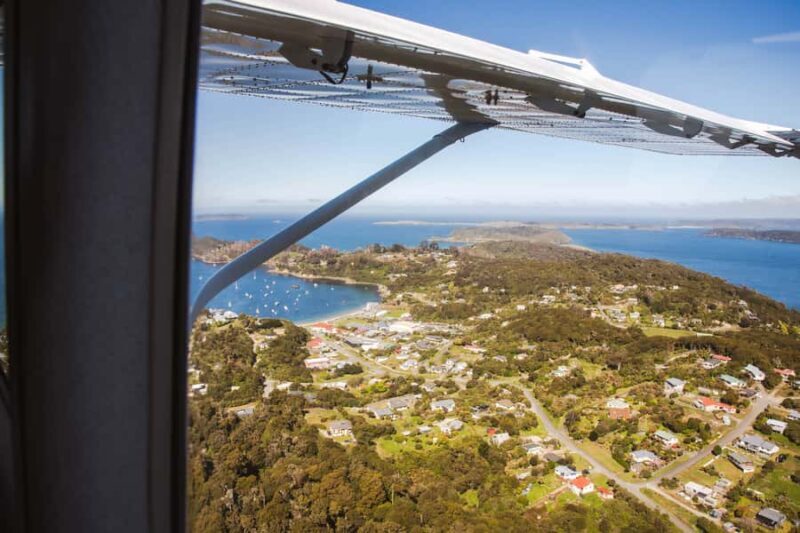 Queenstown: Day Trip to Stewart Island via Scenic Flight - Key Points