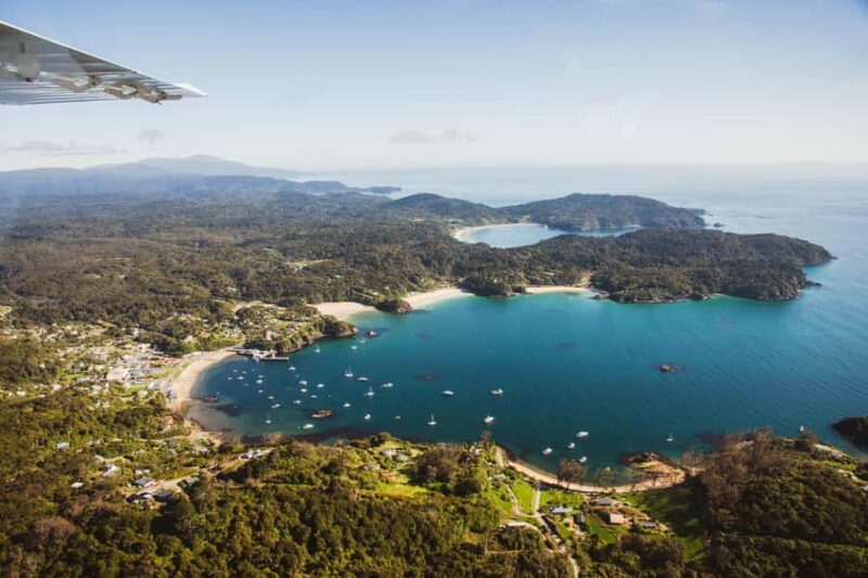 Queenstown: Day Trip to Stewart Island via Scenic Flight - Transport, Timing, and Practicalities