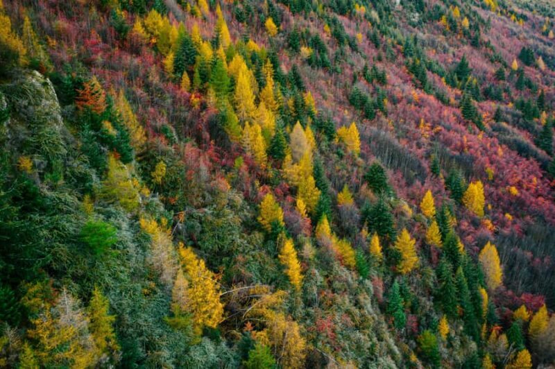 Queenstown: Glenorchy, Arrowtown, & Crown Range Tour - Practical Details and Value