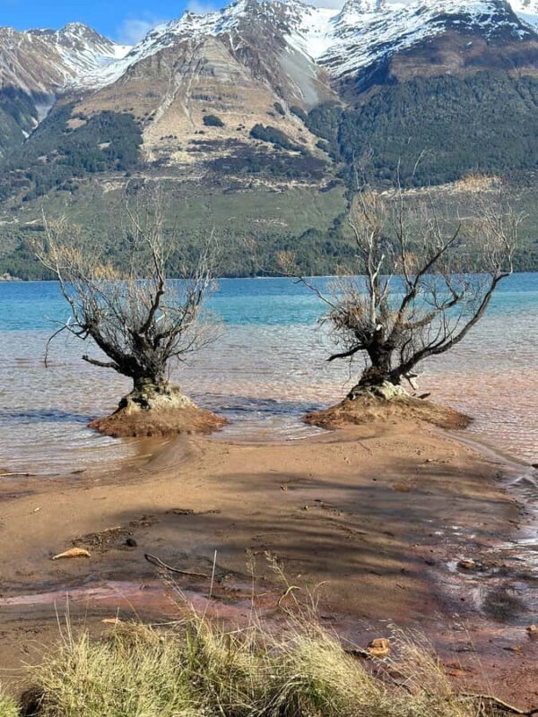 Queenstown: Glenorchy Private Tour with Hotel Pickup - Practical Details and Tips