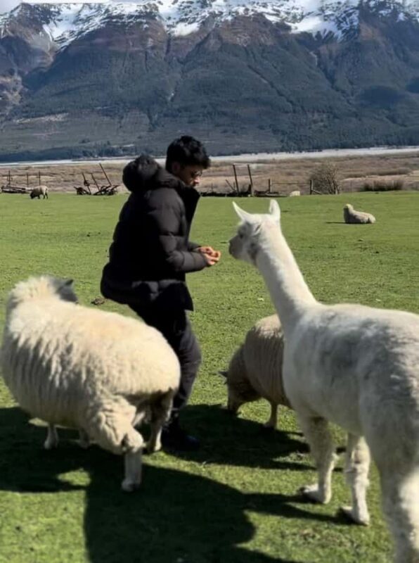 Queenstown: Glenorchy Private Tour with Hotel Pickup - The Sum Up