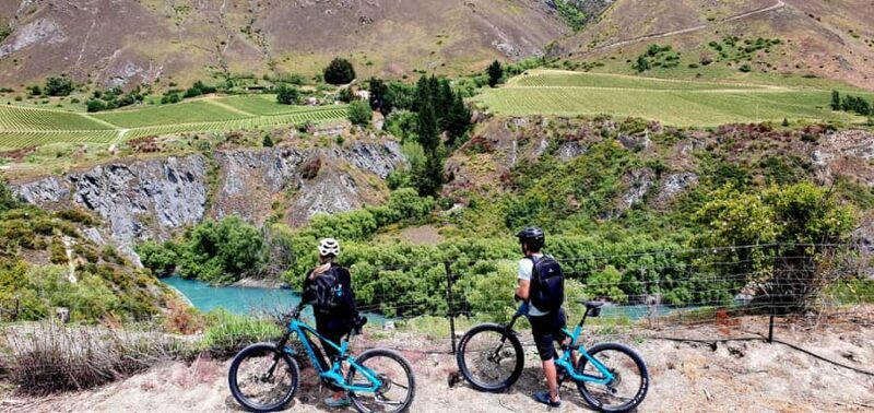 Queenstown: Guided E-Bike Tour with Winery Visits & Tastings - An In-Depth Look at the Queenstown E-Bike & Winery Tour