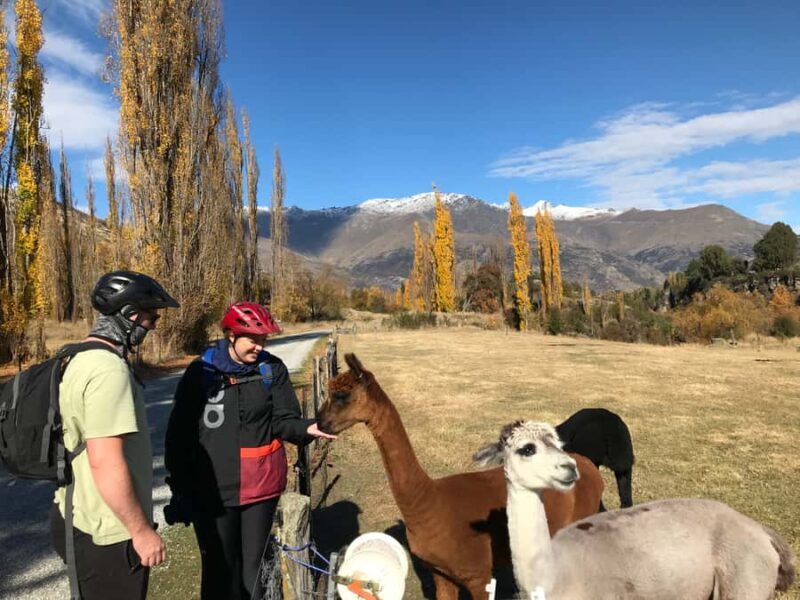 Queenstown: Guided E-Bike Tour with Winery Visits & Tastings - Who Should Consider This Tour?