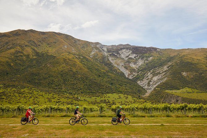 Queenstown Guided E-bike Wine Tour - Whats Included and Whats Not